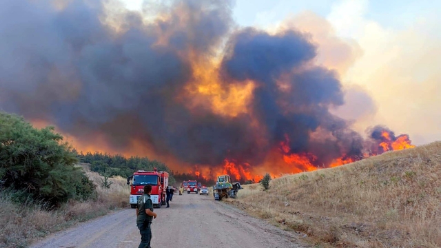 Tekirdağ'da orman yangını; alevlerin tehdit ettiği bir mahalle boşaltılıyor (2)