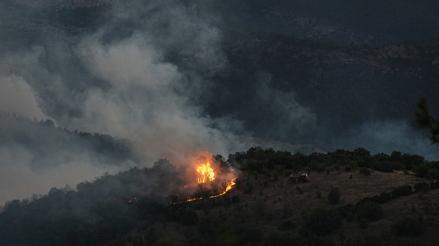 GÜNCELLEME 2 - Bursa-Balıkesir sınırında çıkan orman yangınına müdahale ediliyor
