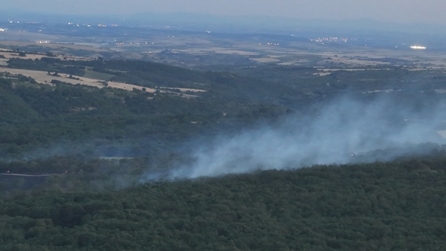 Edirne'de ormanlık alanda çıkan yangın söndürüldü