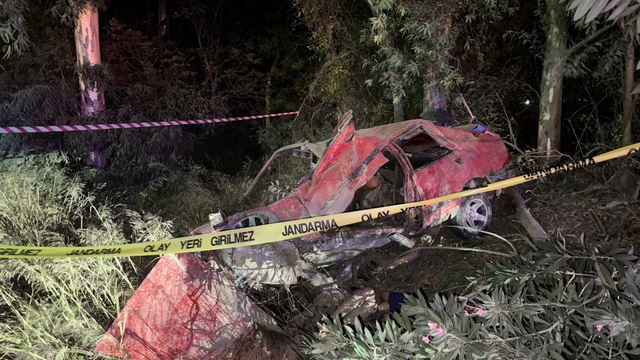 Aydın'da ağaca çarpan otomobildeki 2 kişi öldü