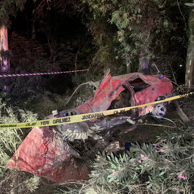 Aydın'da ağaca çarpan otomobildeki 2 kişi öldü