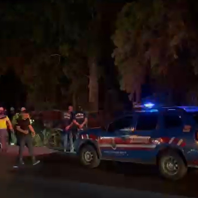 Yoldan çıkan otomobil ağaçlık alana düştü: 2 ölü