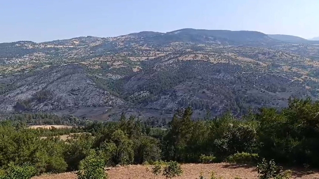 Balıkesir'deki orman yangını 2'nci gününde