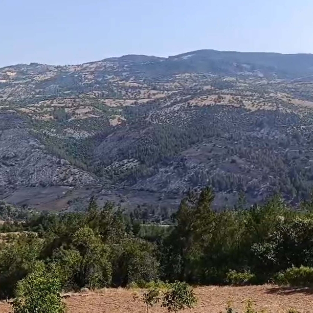 Balıkesir'deki orman yangını 2'nci gününde