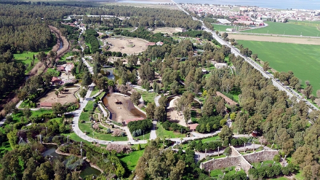 Galeri