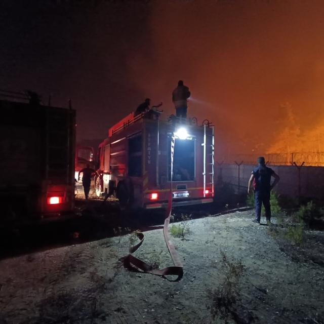 Suriye'den Hatay'a sıçrayan yangın kontrol altına alındı