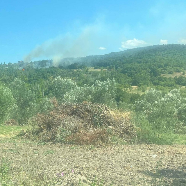 Çanakkale'deki orman yangınının çıkış nedeni, sigara izmariti