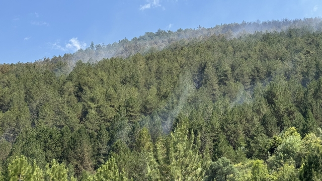 Çankırı'daki yangında 40 hektar orman zarar gördü