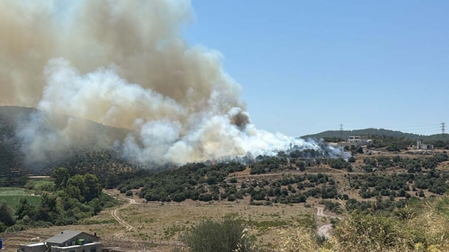 Muğla'da tarım arazisinde yangın