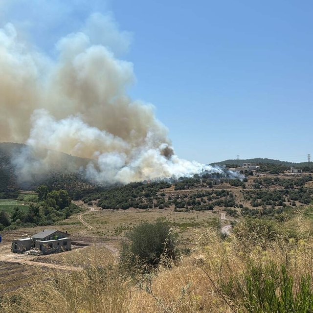 Muğla'da tarım arazisinde yangın
