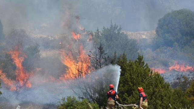 Prof. Dr. Doğan Yaşar: İzmir'de orman yangınlarında yanan alan rekoru kırıldı