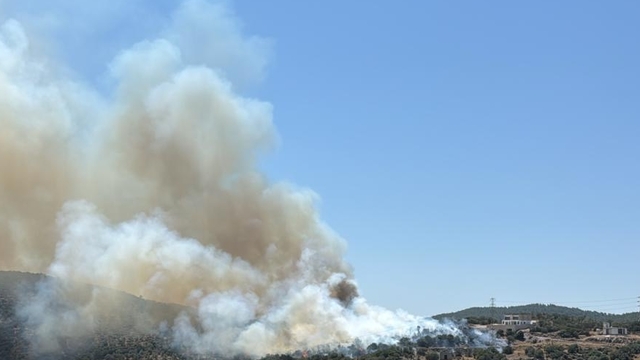 Milas'ta ziraat alanında çıkan yangın söndürüldü