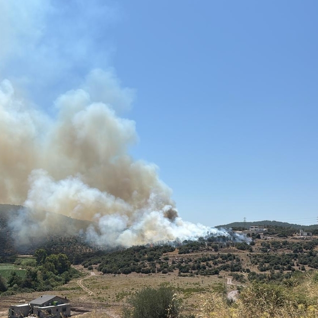 Milas'ta ziraat alanında çıkan yangın söndürüldü