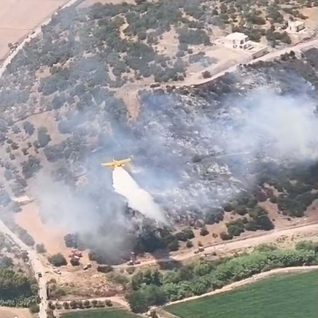 Muğla'da tarım arazisinde yangın (2)