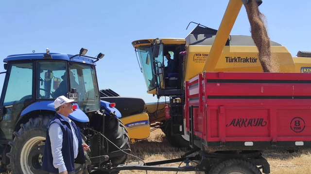 Sorgun'da buğday hasadı başladı