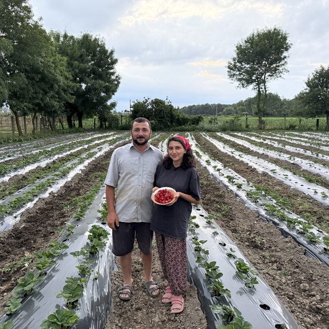 Bankacılığı bırakıp Büyükşehir Belediyesinin desteğiyle çilek üreticisi old...