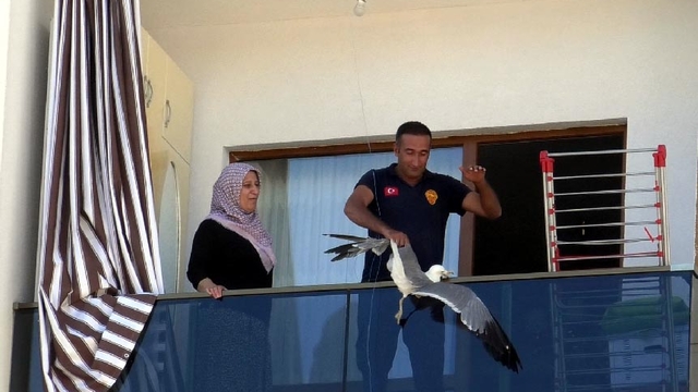 Van'da ipe dolanan martı itfaiye ekipleri tarafından kurtarıldı