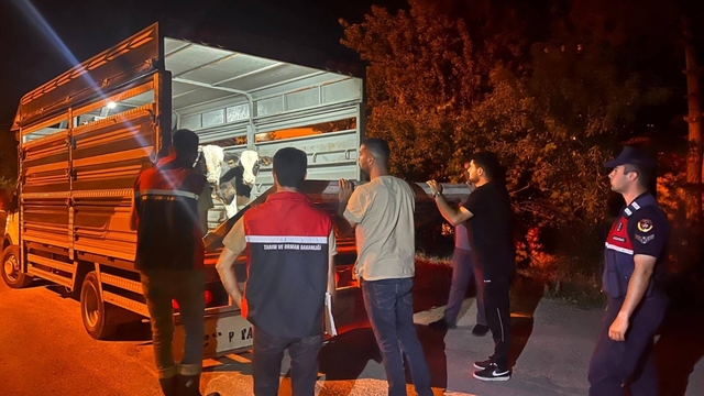 Şap hastalığından karantinadaki köyden hayvan sevk eden besiciye para cezası