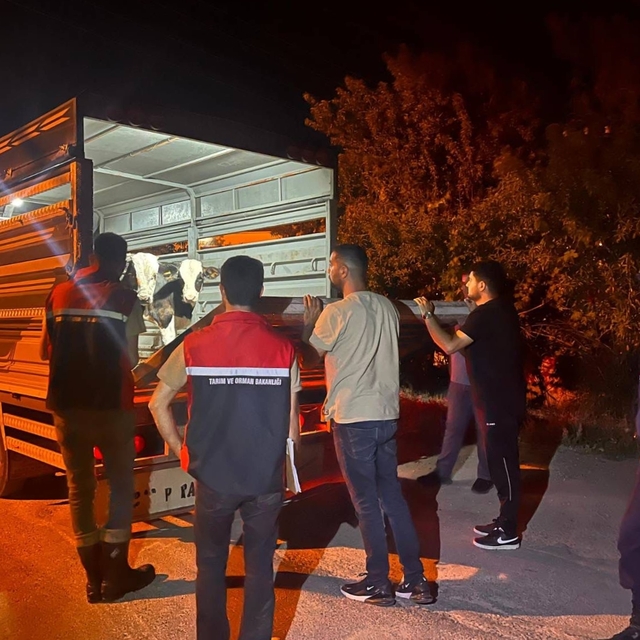 Şap hastalığından karantinadaki köyden hayvan sevk eden besiciye para cezas...