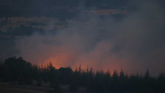 GÜNCELLEME- Kırklareli'ndeki orman yangını kontrol altına alındı