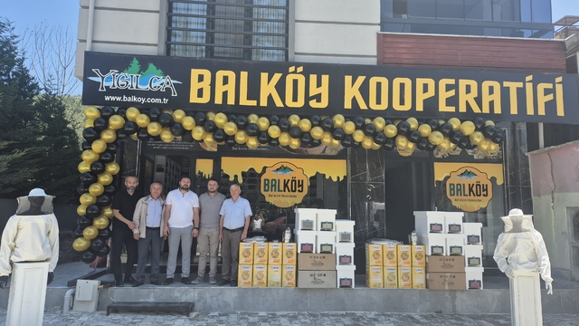 Yığılca kestane balı için coğrafi işaret başvurusu yapıldı