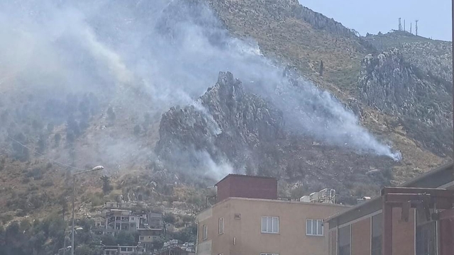 Hatay'da orman yangını