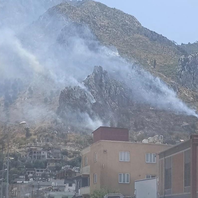 Hatay'da orman yangını