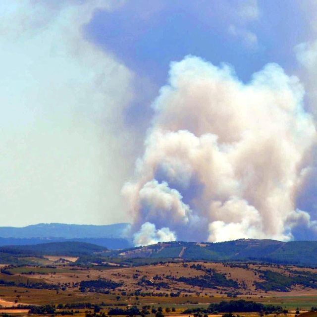 Edirne'de orman yangını