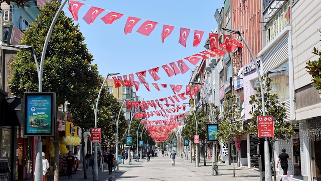 Sakarya'dan "Terörsüz Türkiye"ye ay yıldızlı bayraklarla destek