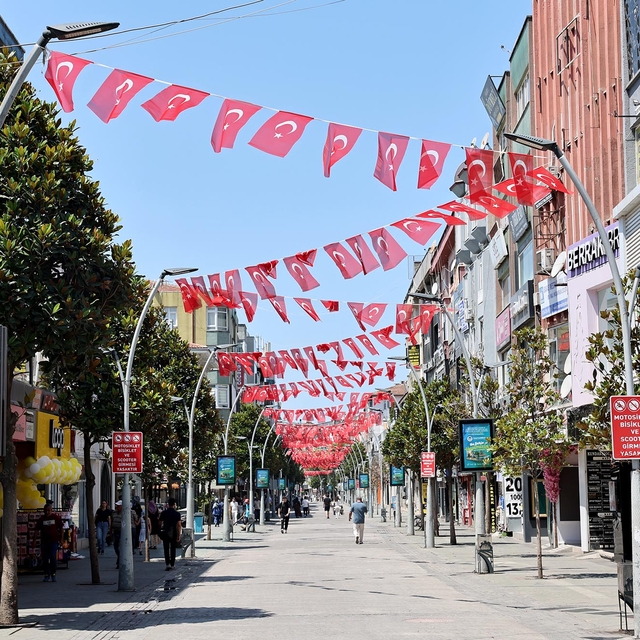 Sakarya'dan "Terörsüz Türkiye"ye ay yıldızlı bayraklarla destek