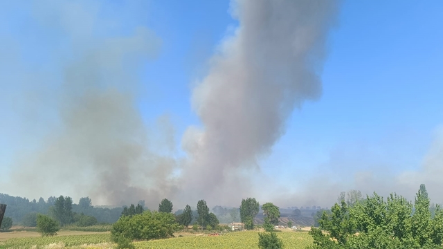 Edirne'de çıkan orman yangınına müdahale ediliyor