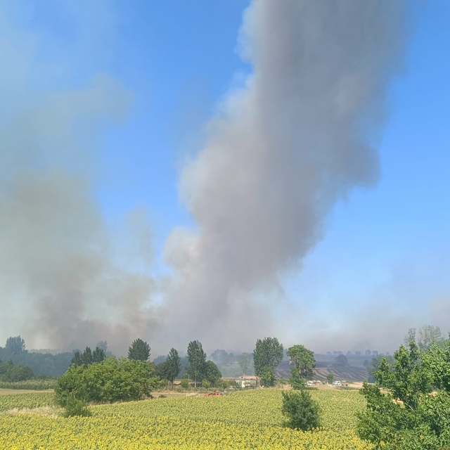 Edirne'de çıkan orman yangınına müdahale ediliyor