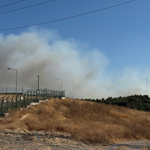 İzmir'in Urla ilçesinde çıkan orman yangınına müdahale ediliyor