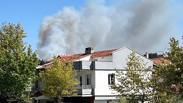 İzmir'de orman yangını