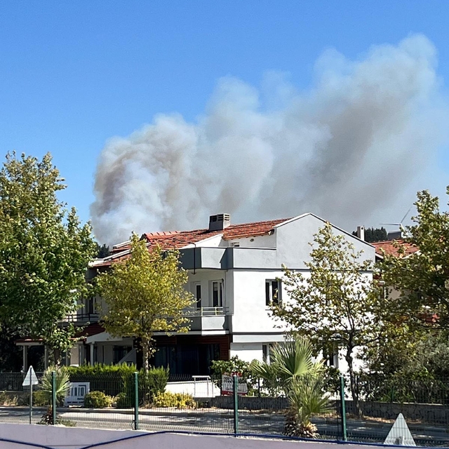İzmir'de orman yangını