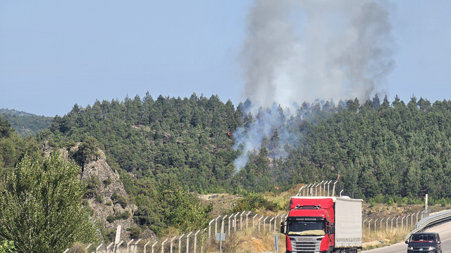Tokat'ta orman yangını