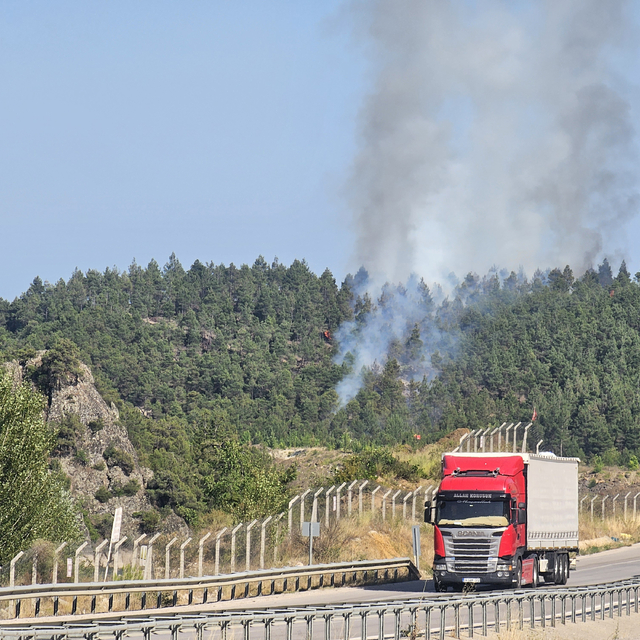 Tokat'ta orman yangını