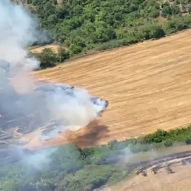 Manyas'ta orman yangını