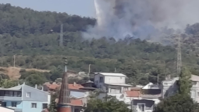 İzmir'de orman yangını (2)