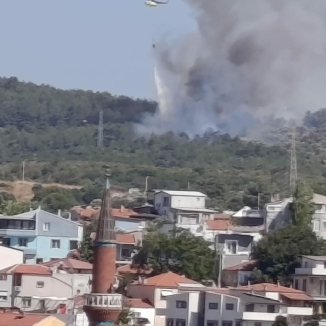 İzmir'de orman yangını (2)