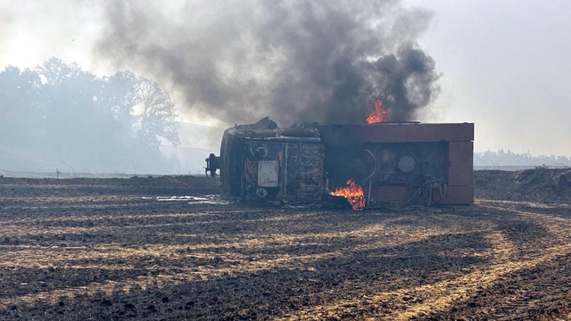Edirne'de orman yangını (2)