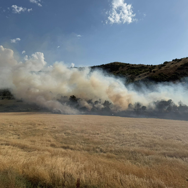 Bitlis'te örtü yangını söndürüldü
