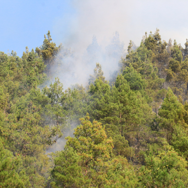 Tokat'ta çıkan orman yangını kontrol altına alındı