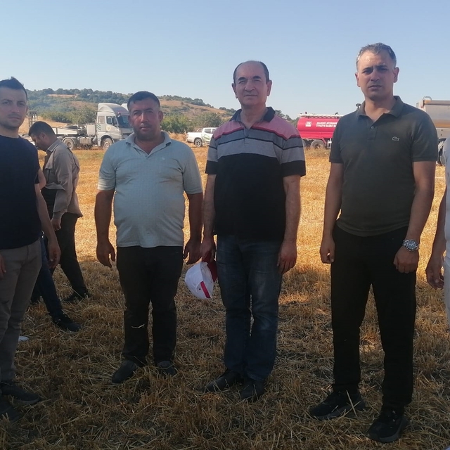 Manyas'ta orman yangını (2)