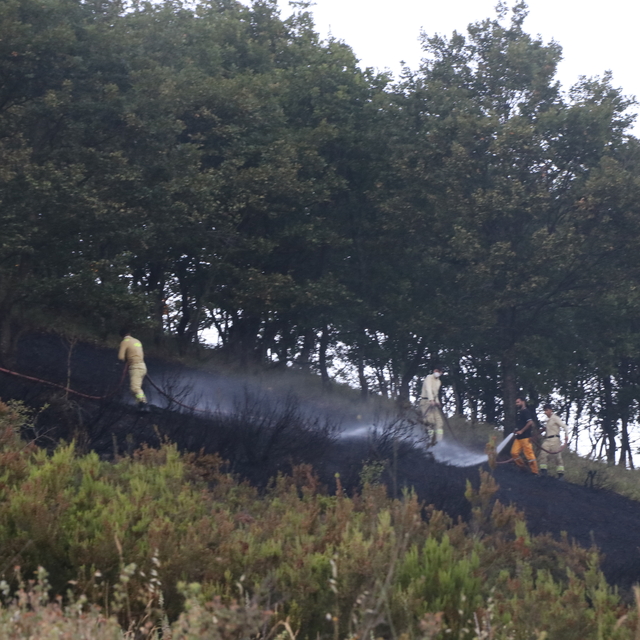 Yalova-Bursa sınırında çıkan orman yangını kontrol altına alındı