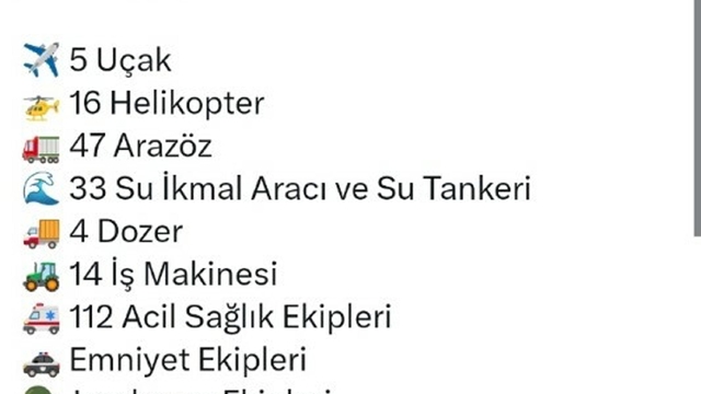 İzmir'de orman yangını(3)