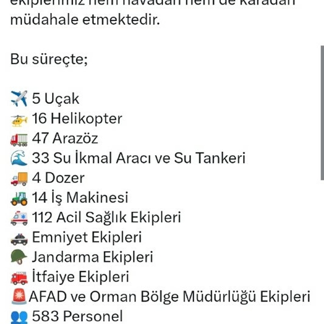 İzmir'de orman yangını(3)