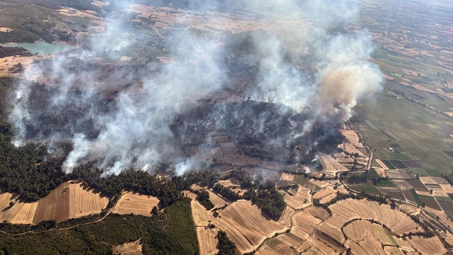 Edirne'de orman yangını (3)