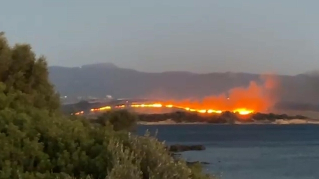 İzmir Aliağa'da otluk yangını çıktı