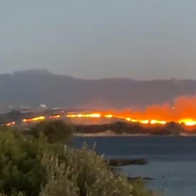 İzmir Aliağa'da otluk yangını çıktı